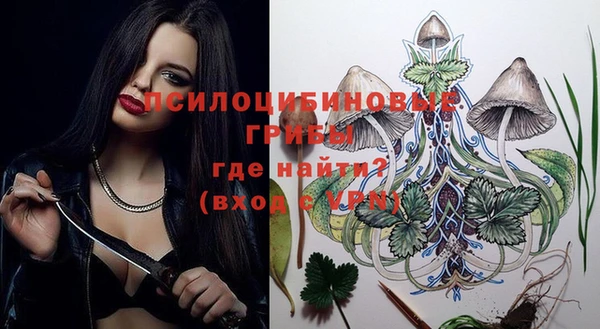 mix Няндома