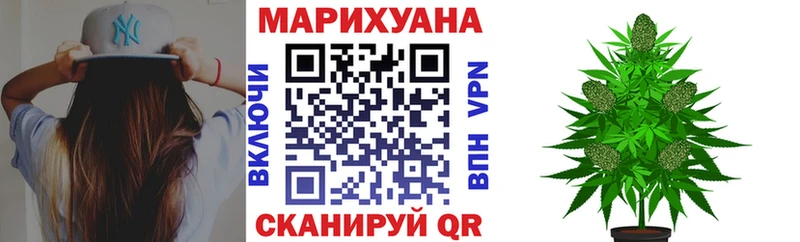 Конопля OG Kush Ликино-Дулёво